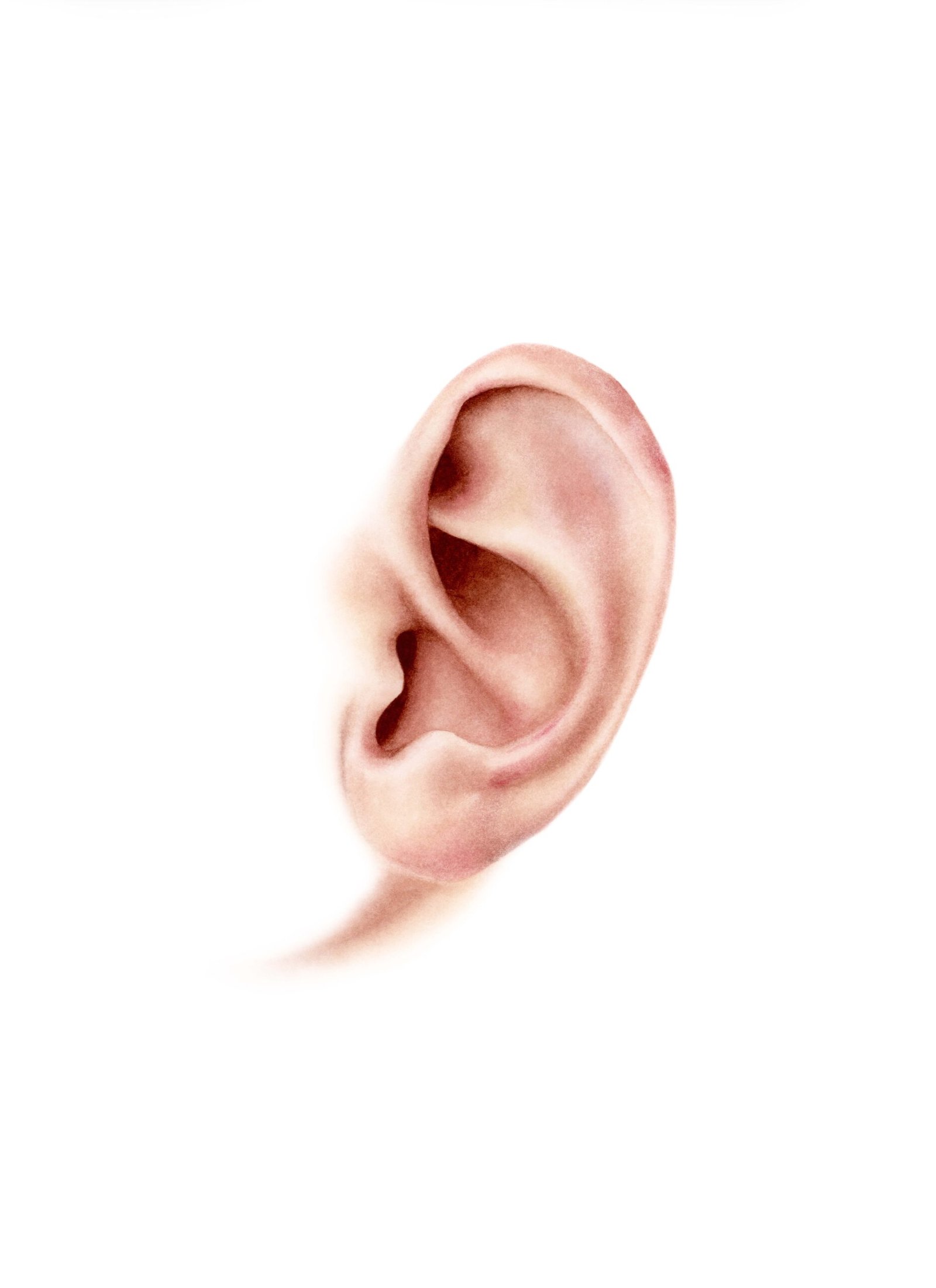 Image hover effect image
